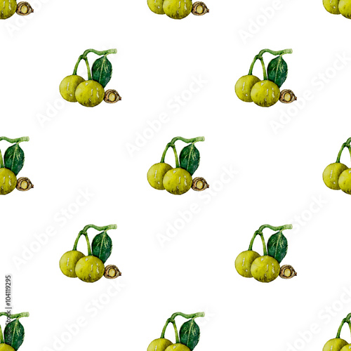 Seamless pattern of tamanu nut in watercolor