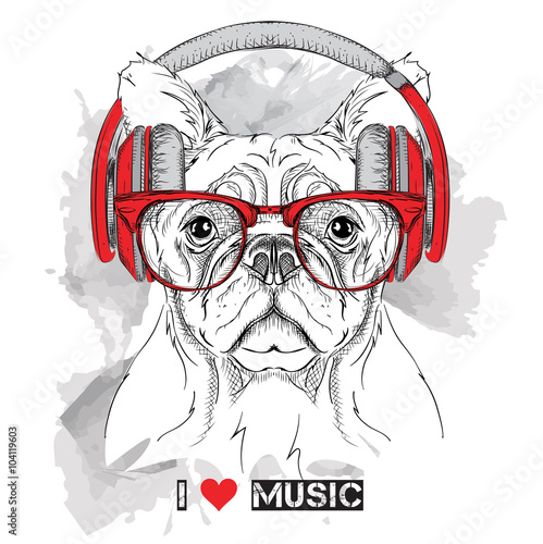 Dog in glasses and headphones. Vector illustration.