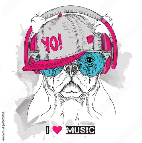 The image of the dog in the glasses, headphones and in hip-hop hat. Vector illustration.