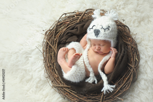 Newborn Baby Boy Wearing a White Owl Hat