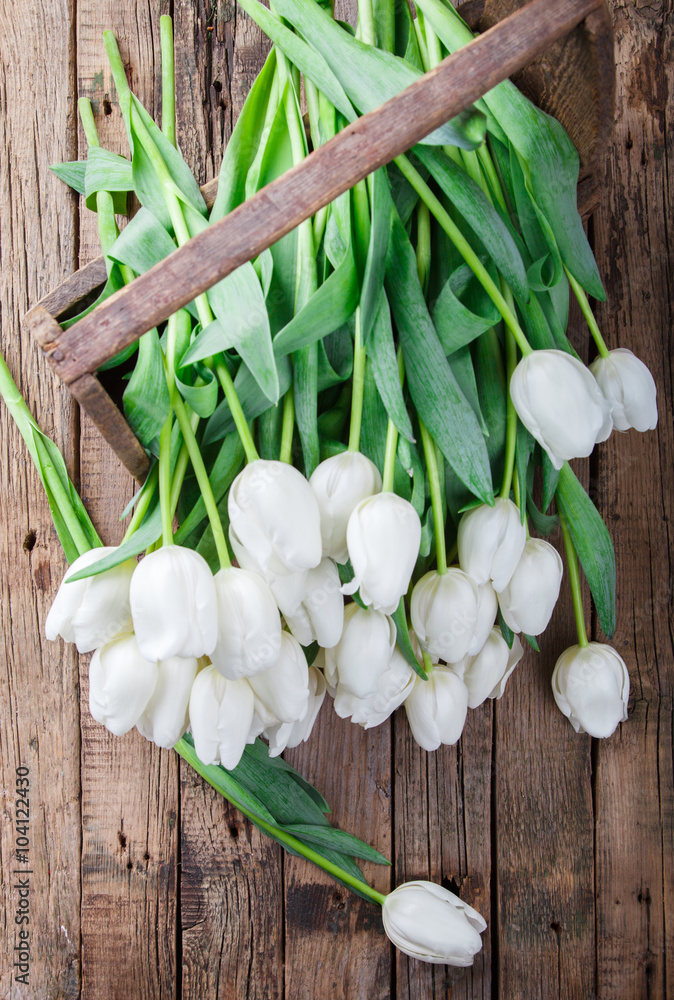 A bouquet of white tulips in an old box.Flowers of spring and love.Vintage style.Happy Mothers Day.selective focus. A bouquet of white tulips in an old box.Flowers of spring and love.Vintage style.Happy Mothers Day.selective focus.