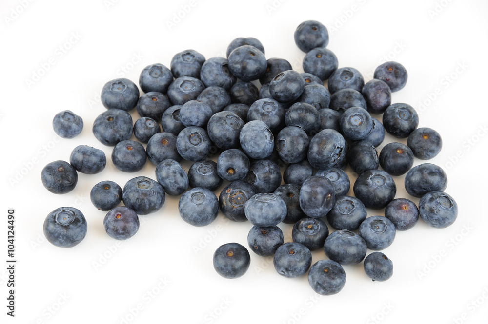 blueberry isolated on white background blueberry isolated on white background
