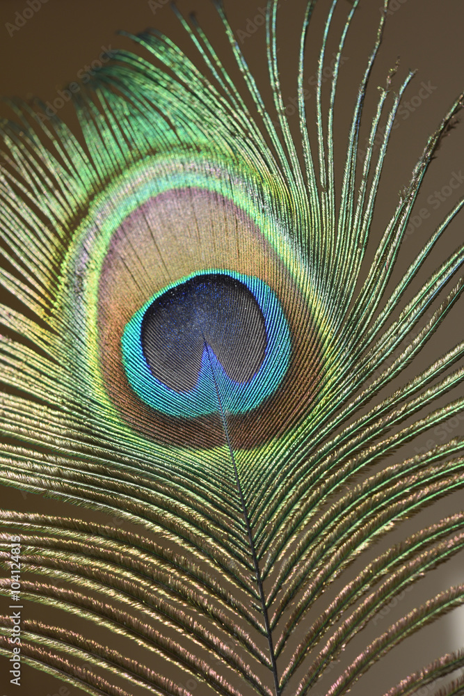 Obraz premium 黄色い風船、もらったよ。着物を着て微笑む少女