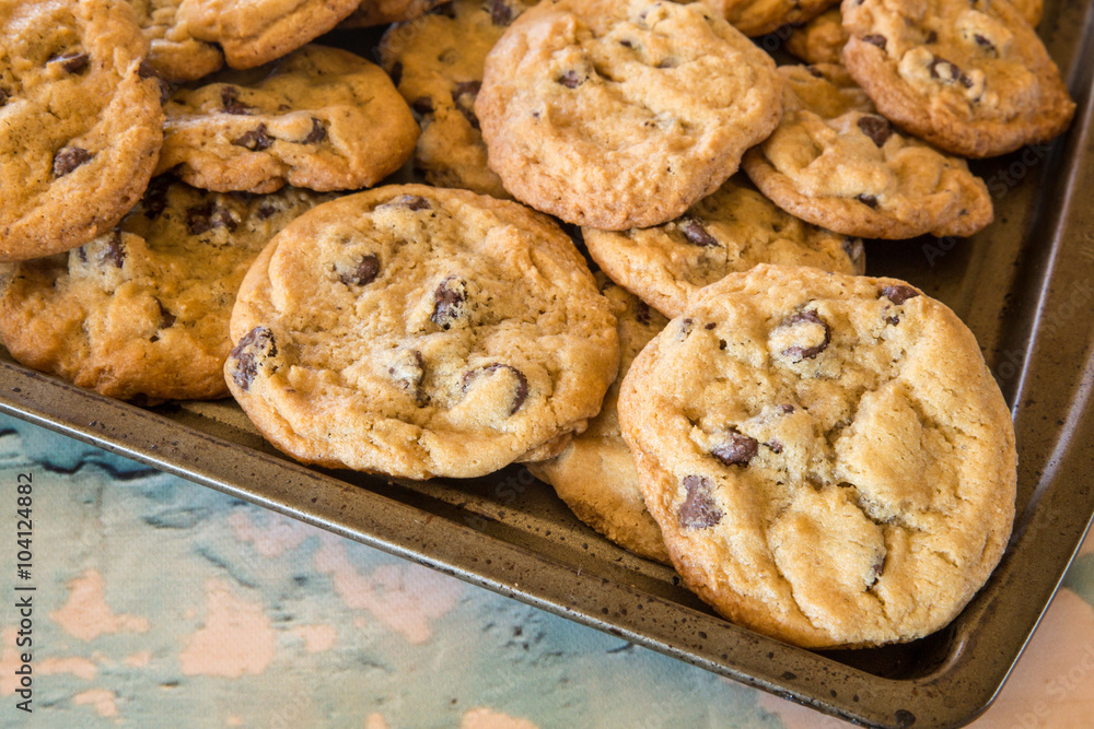batch of homemade chocolate cookies on baking sheet batch of homemade chocolate cookies on baking sheet