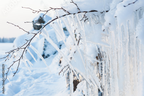Foto Beautiful icicle ice formation on small tree