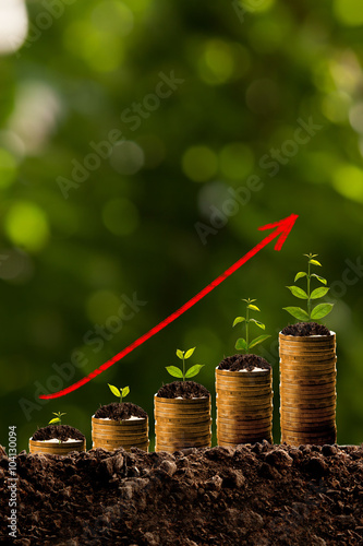 Money growing in soil,success concept