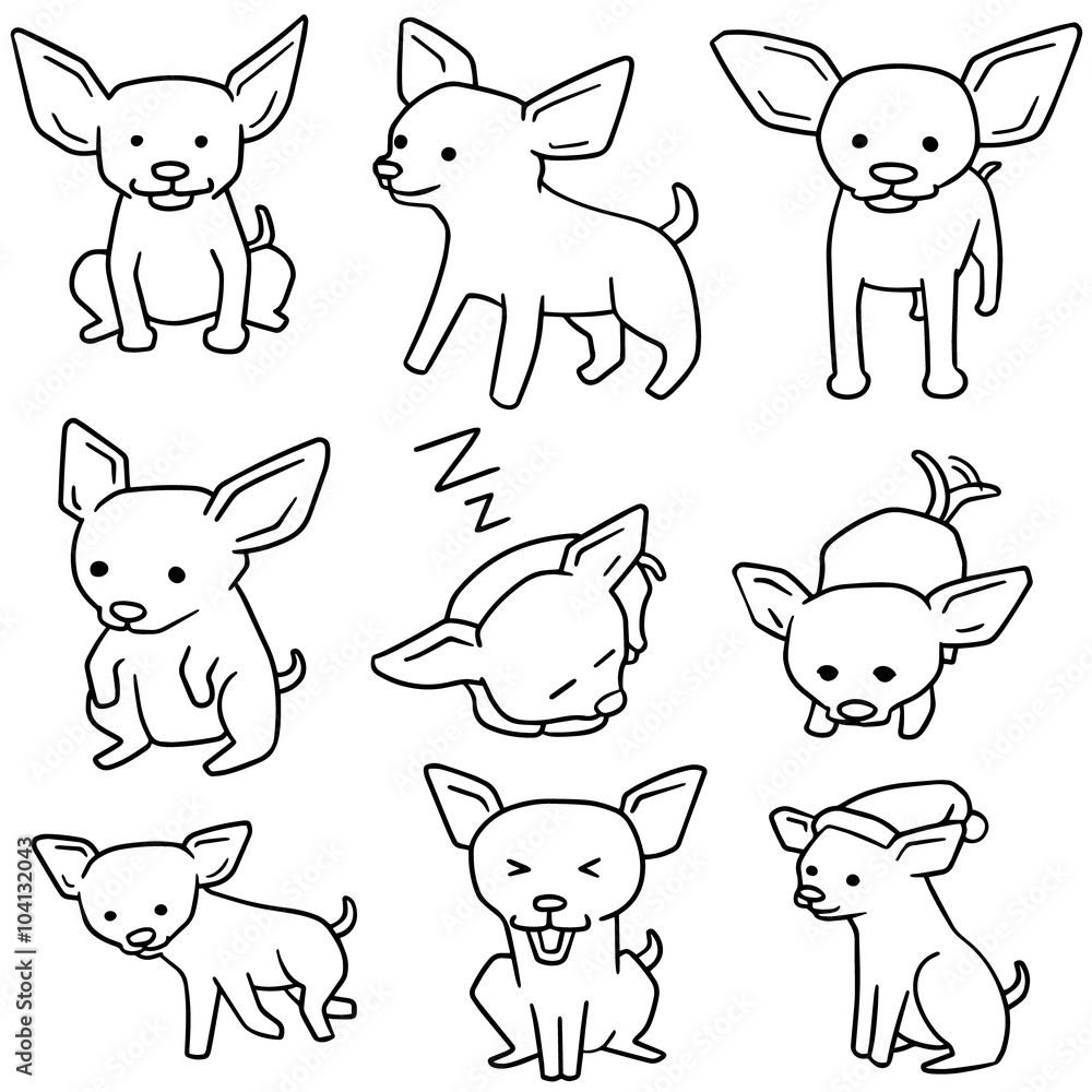 vector set of dog, chihuahua