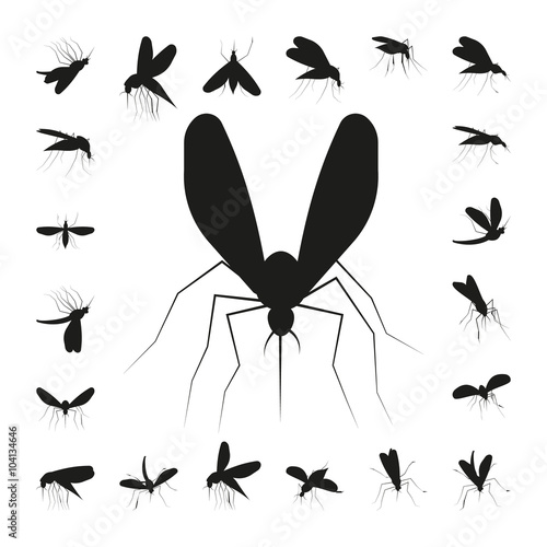 Set mosquito silhouette © NatliyaDesigner