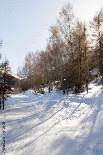 ski trail in the mountains among the trees
