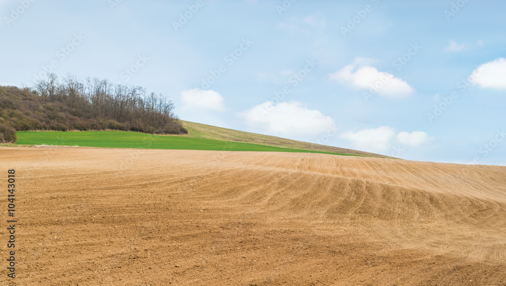 Agricultural field with soil and blue sky