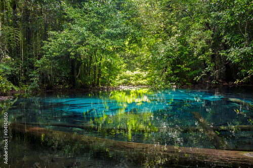 Sa Nam Phut is beautiful spring pool in the forest national park