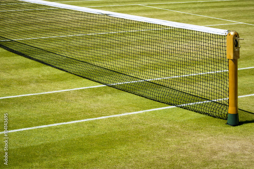 Tennis net and court   © Lance Bellers