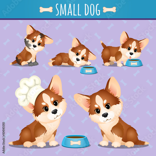 Small brown dog with food in different poses