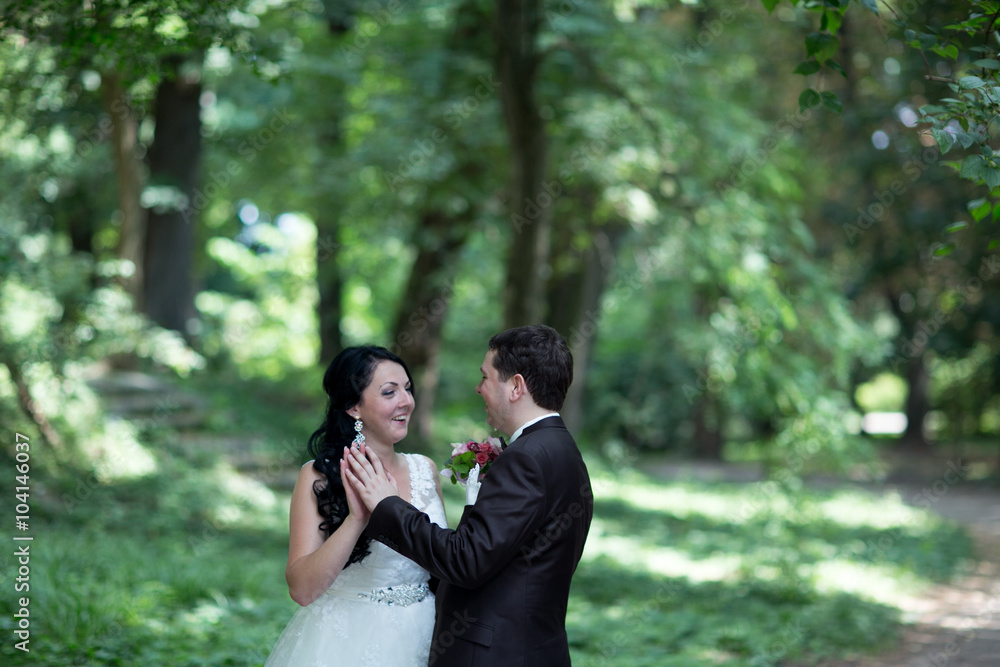 Wedding. Beautiful bride. Beautiful happy wedding couple Wedding. Beautiful bride. Beautiful happy wedding couple