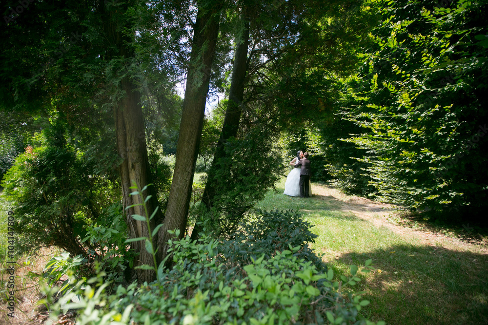 Wedding. Beautiful bride. Beautiful happy wedding couple Wedding. Beautiful bride. Beautiful happy wedding couple
