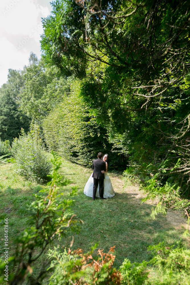 Wedding. Beautiful bride. Beautiful happy wedding couple Wedding. Beautiful bride. Beautiful happy wedding couple