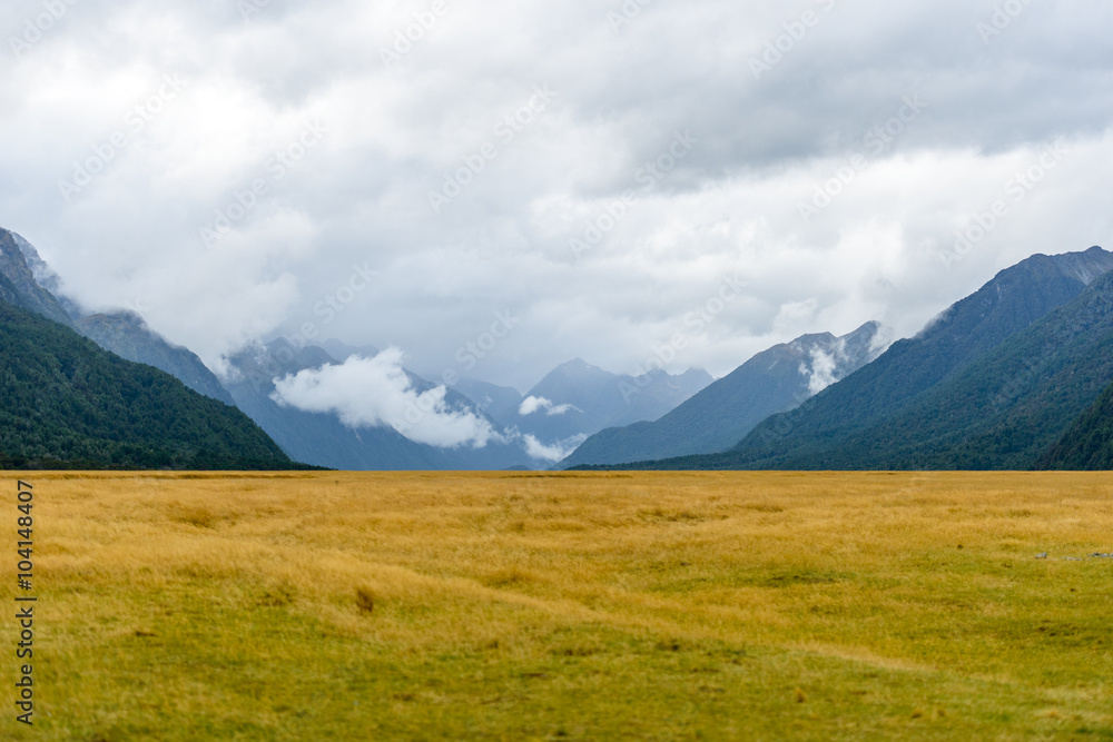 Obraz premium New Zealand Landscape