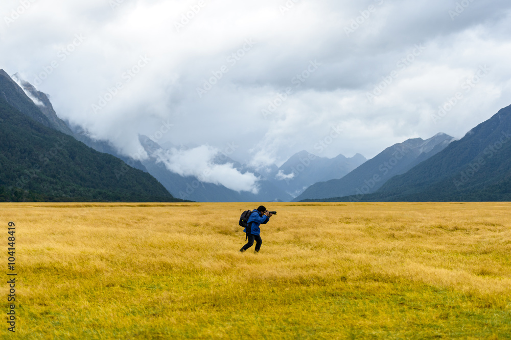 New Zealand Landscape