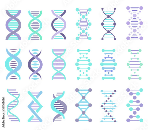 DNA Strands Set