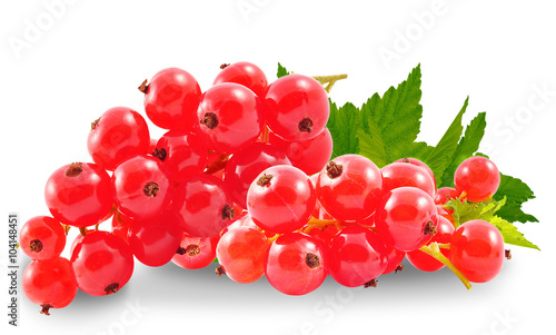 Canvas Print redcurrant isolated