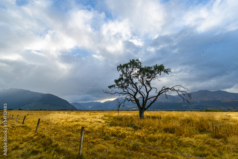 Landscape of New Zealand Landscape of New Zealand