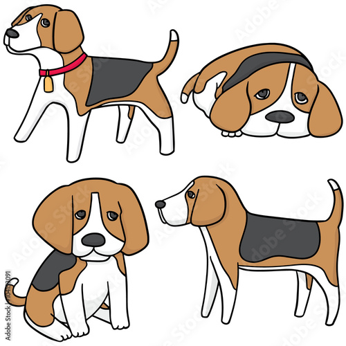 vector set of dog, beagle