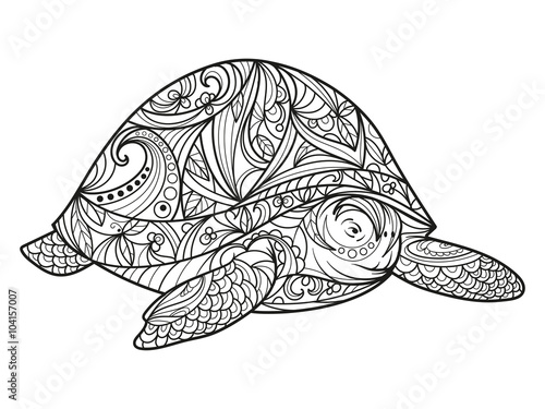 Turtle coloring book for adults vector