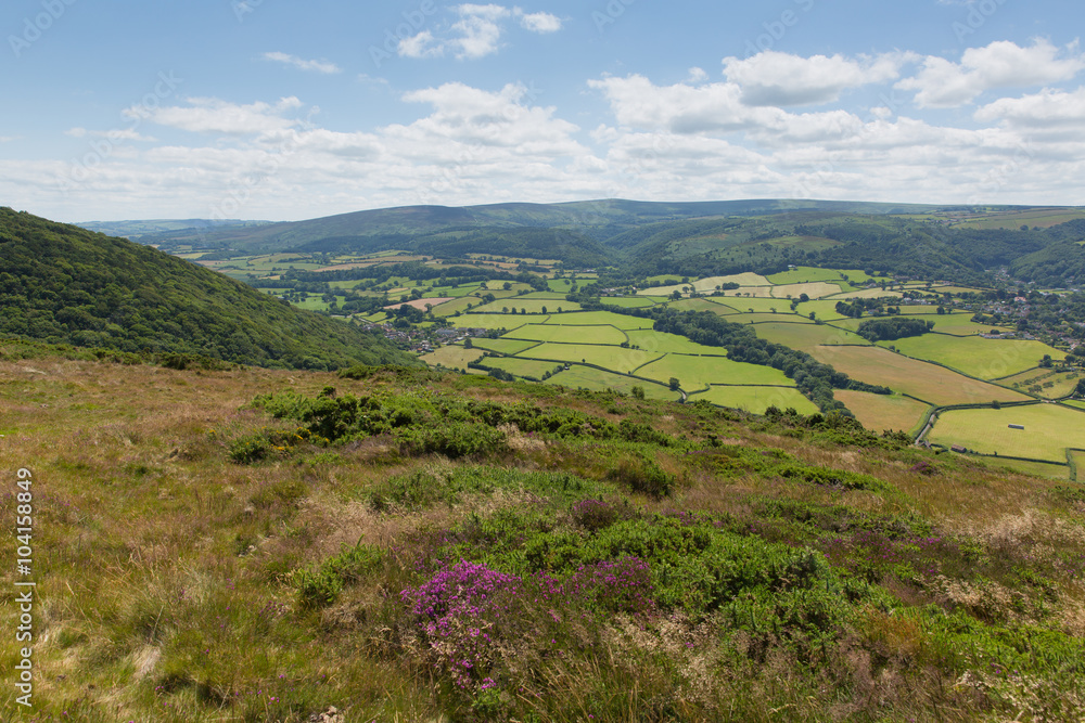 Fototapeta premium Somerset countryside near Porlock West England uk 