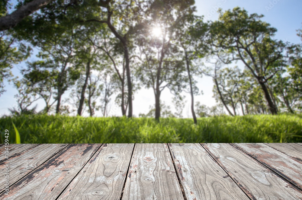 Sunrise in the forest background with wooden planks