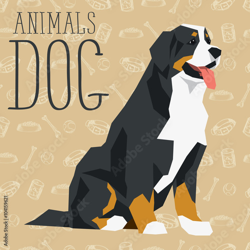 Vector Dogs Collection
