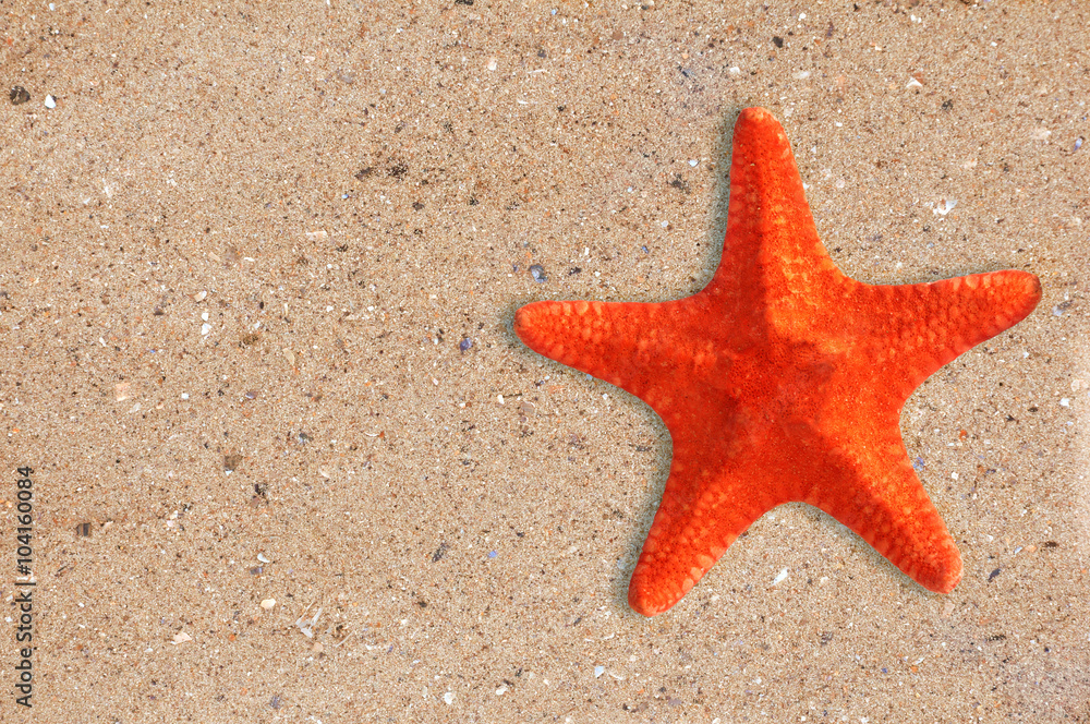 Res starfish on the yellow sand background Res starfish on the yellow sand background