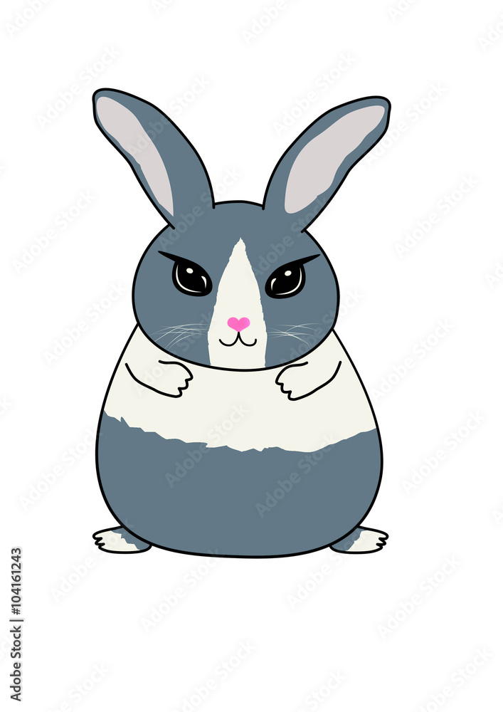 Fototapeta premium blue dutch rabbit