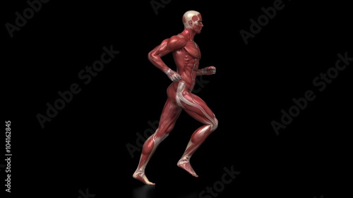 Running muscular man with visible muscles in loop