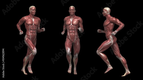 Running muscular man with visible muscles in loop with alpha channel