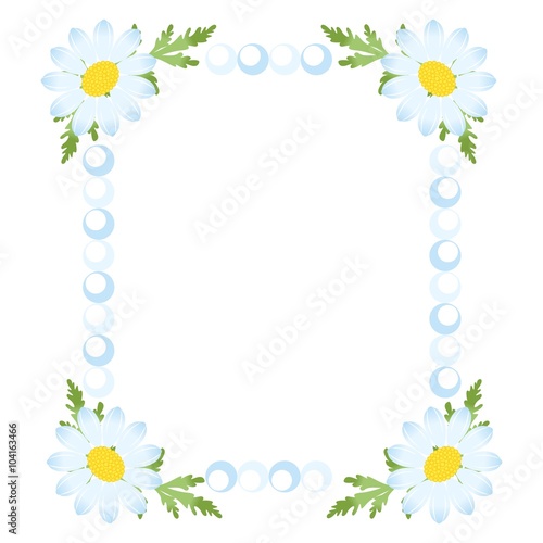 the camomile  frame