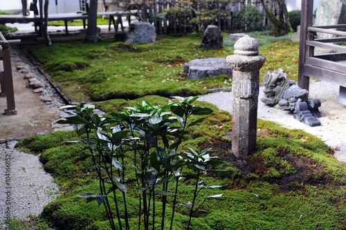 Nanzen-ji Garden Rokudotei-7 photo