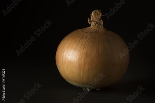onion in black part2