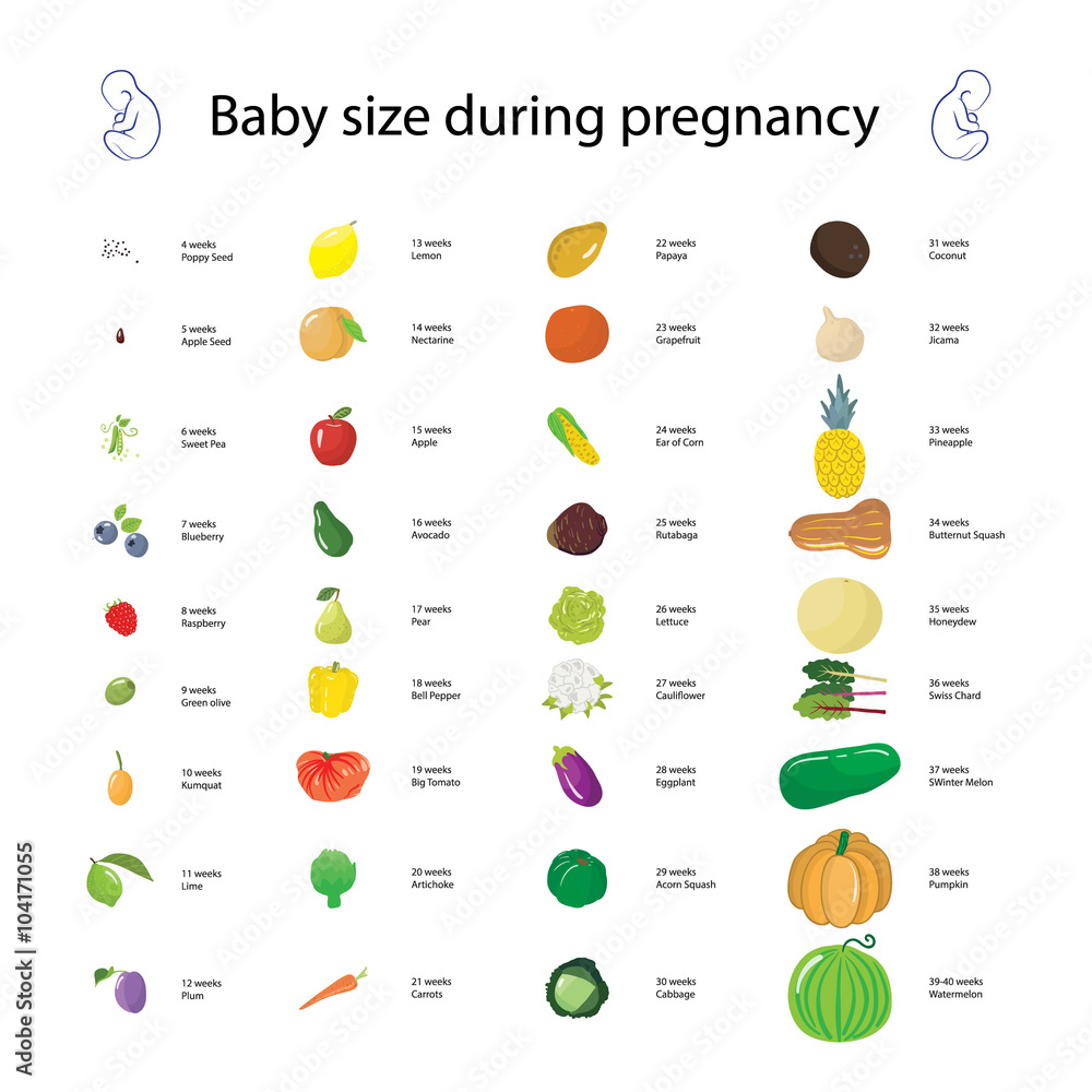 23 Weeks Fetus Size