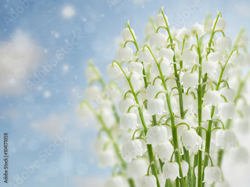 lilly of the valley flowers