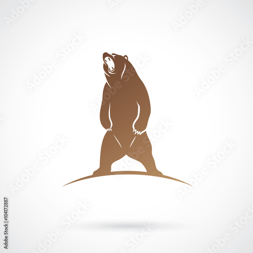 Bear standing on two legs