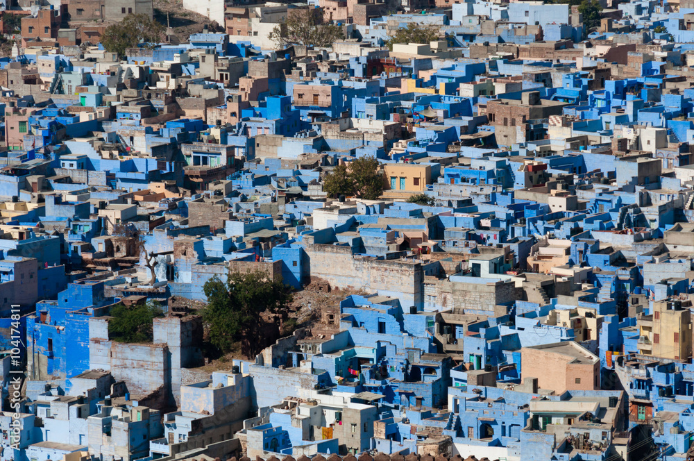 Blue houses Jodhpur.