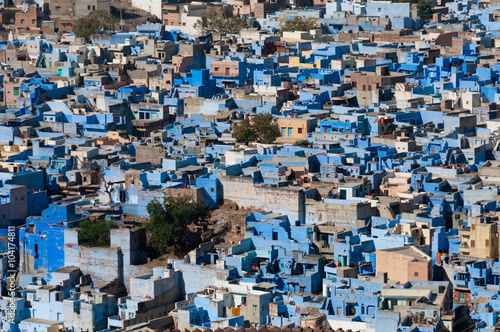 Blue houses Jodhpur. © cornfield