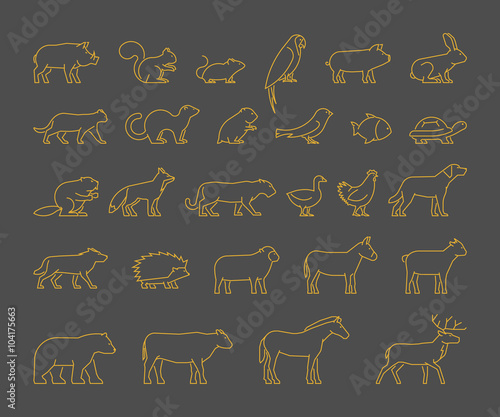 Gold line set of domestic, farm and wild animals.