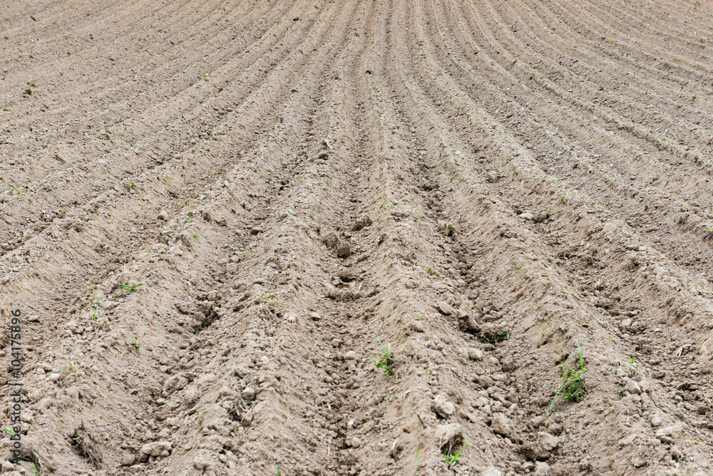Background of newly plowed field ready for new crops Background of newly plowed field ready for new crops