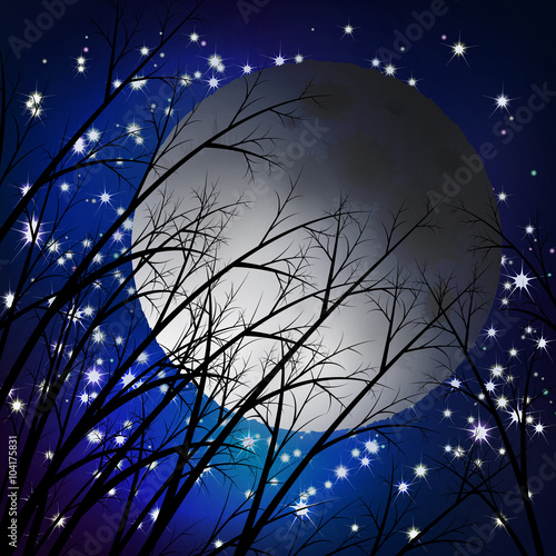 Moon night landscape. Vector illustration