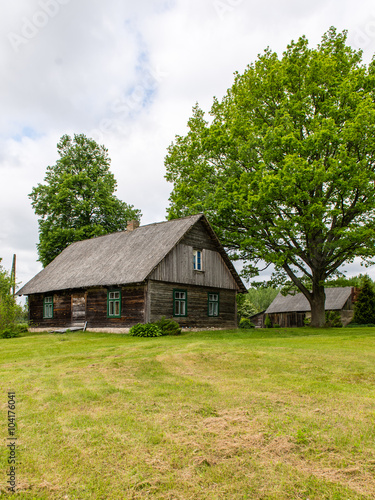 country house with oak trees