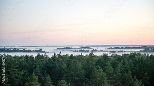 Foggy colorful morning above fields