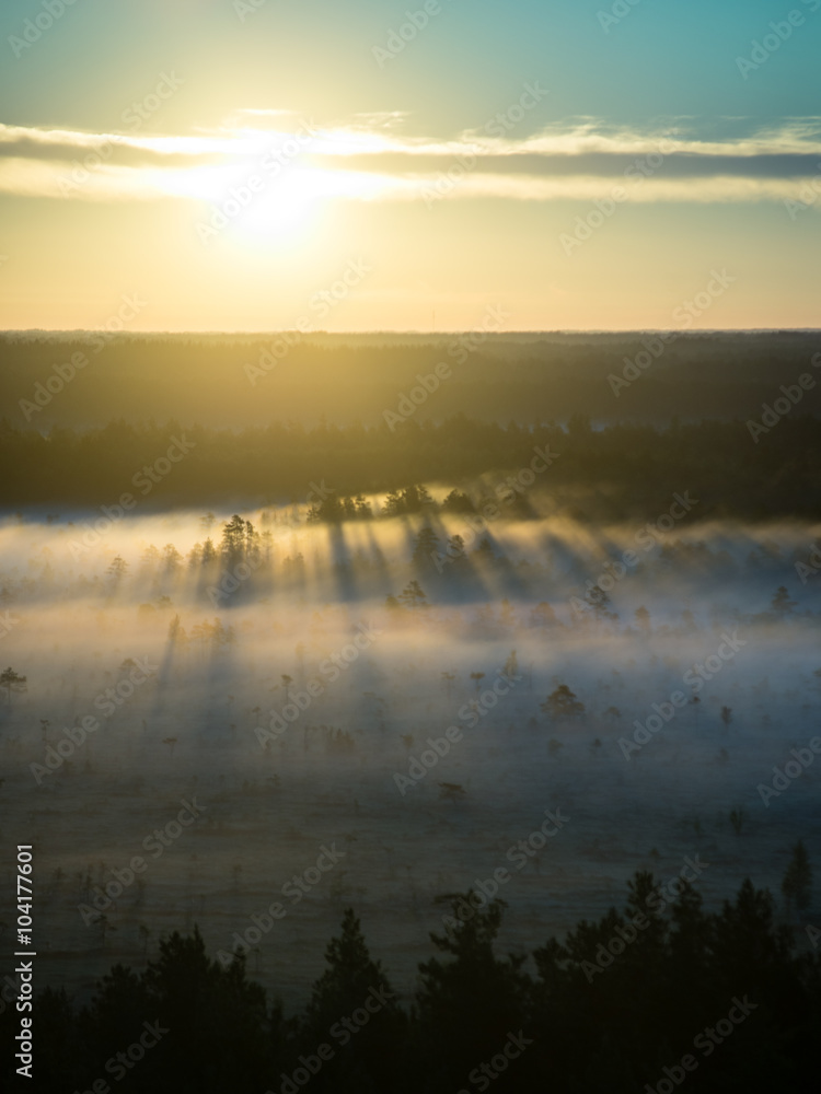 Obraz premium Foggy colorful morning above fields