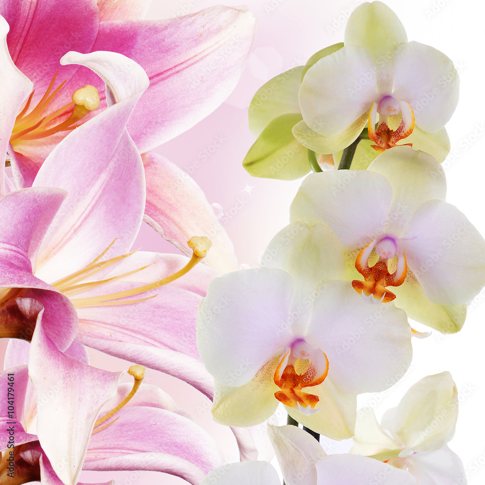 Orchid with lily.Flower bouquet
