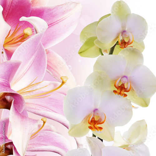 Fototapeta Naklejka Na Ścianę i Meble -  Orchid with lily.Flower bouquet
